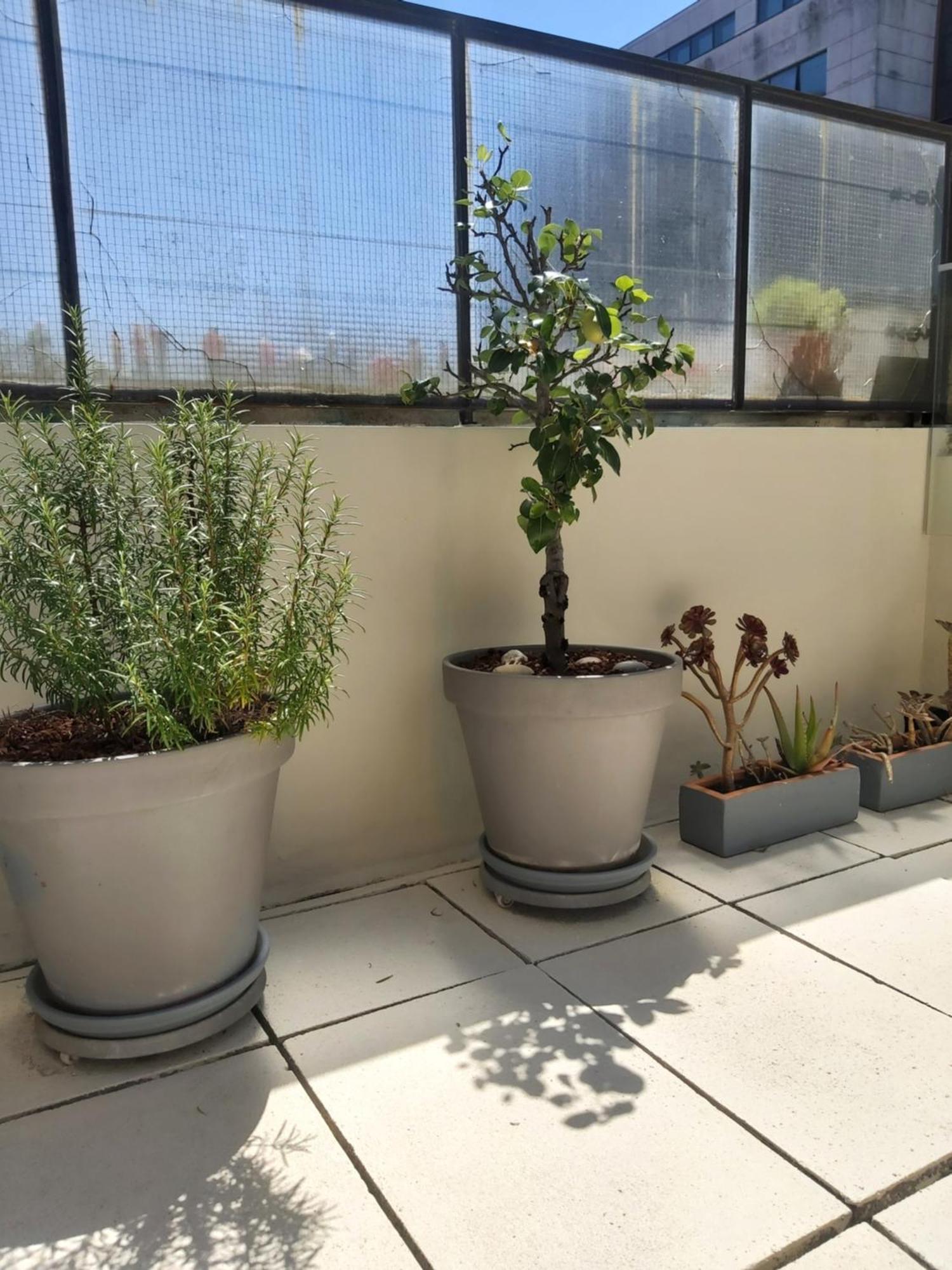 Porto Terrace Apartment Екстериор снимка