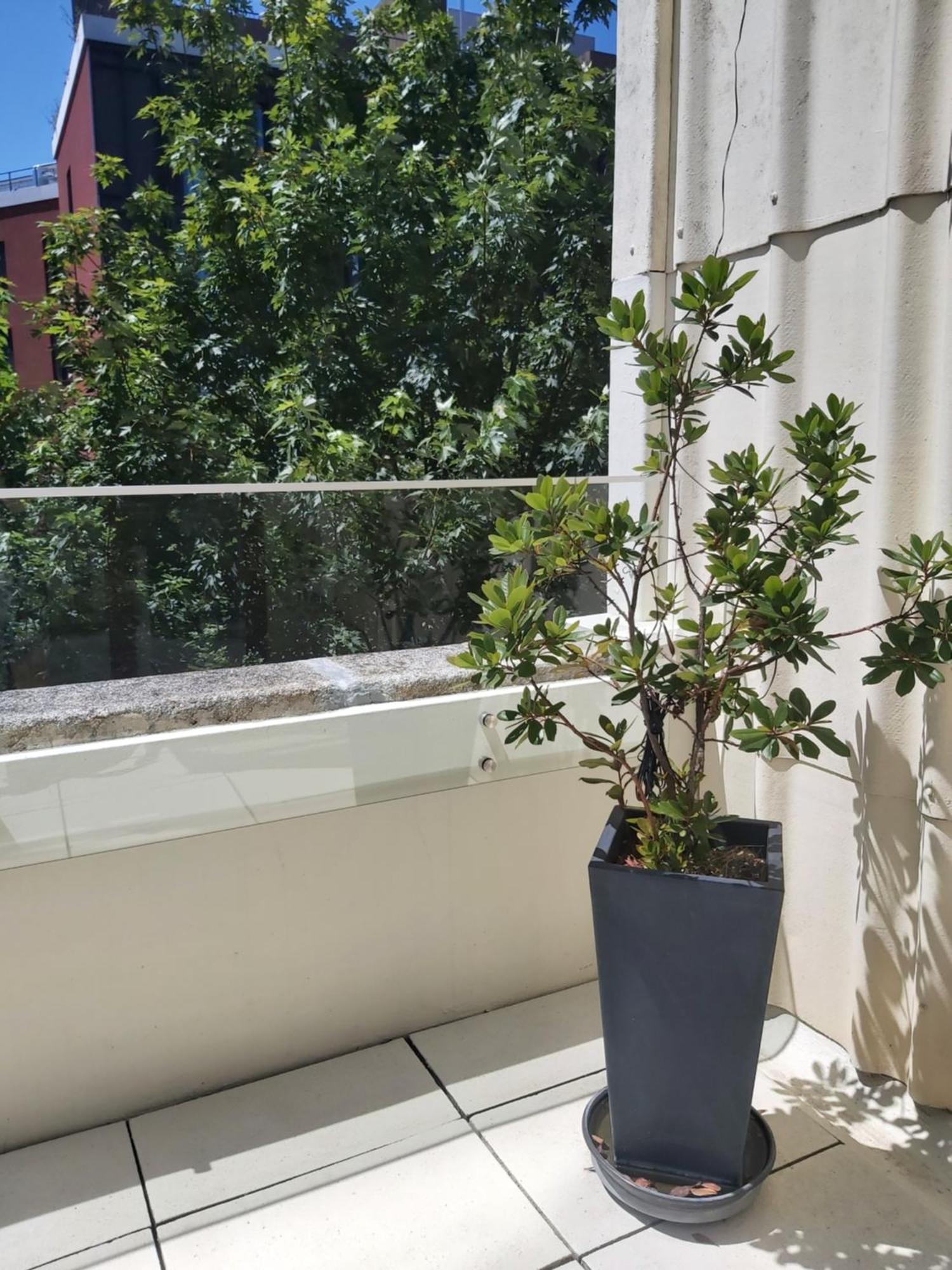 Porto Terrace Apartment Екстериор снимка